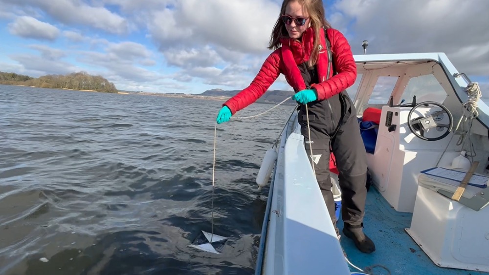 Measuring water clarity using a secchi disc